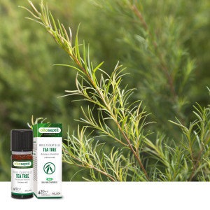 OLIOSEPTIL® HUILE ESSENTIELLE TEA TREE