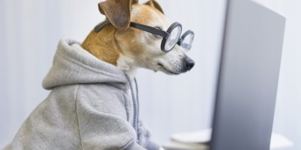 Manque d'attention, fatigue...Les huiles essentielles pour rester performant toute la journée