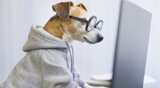 Manque d'attention, fatigue...Les huiles essentielles pour rester performant toute la journée