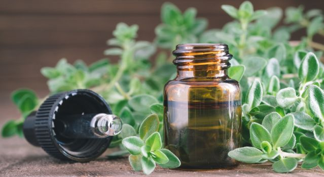 L'huile essentielle de thym : vertus et utilisation