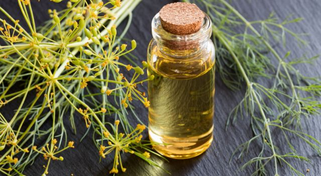 Les vertus de l'huile essentielle d'aneth
