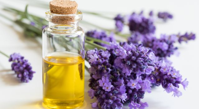 Les huiles essentielles pour partir en vacances