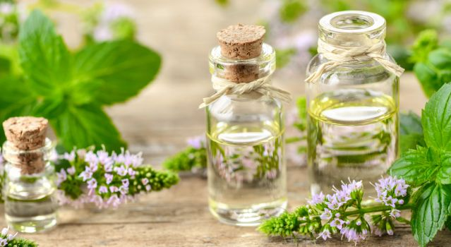 Bienfaits et propriétés de l’huile essentielle de menthe poivrée