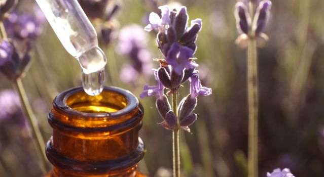 Les huiles essentielles indispensables pour des vacances réussies