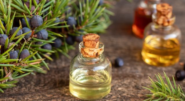 Les vertus de l'huile essentielle de genévrier